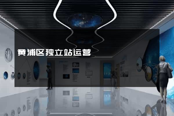 黄浦区独立站运营