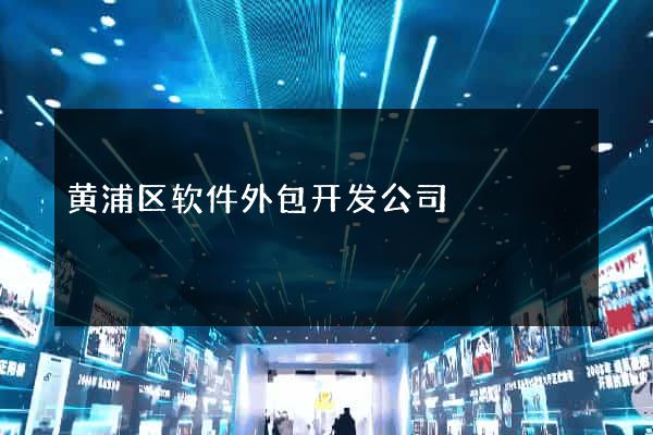 黄浦区软件外包开发公司