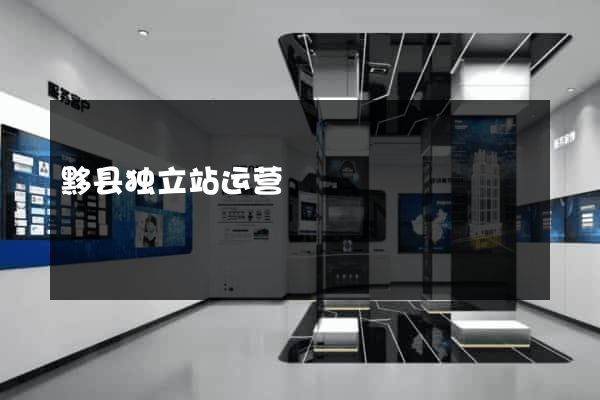 黟县独立站运营