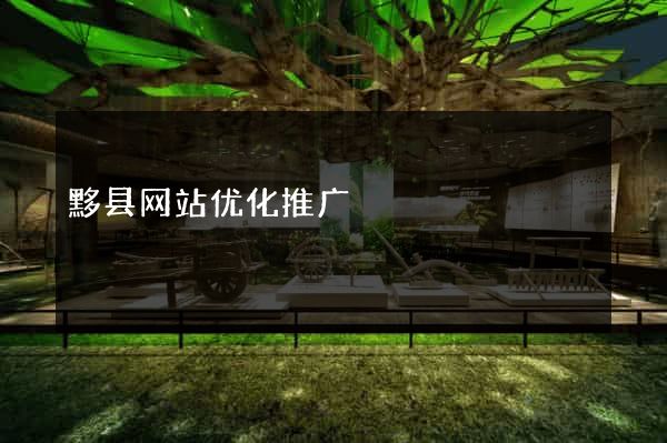 黟县网站优化推广