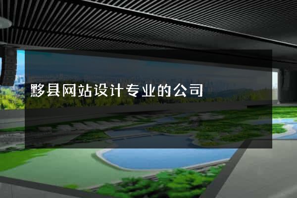 黟县网站设计专业的公司