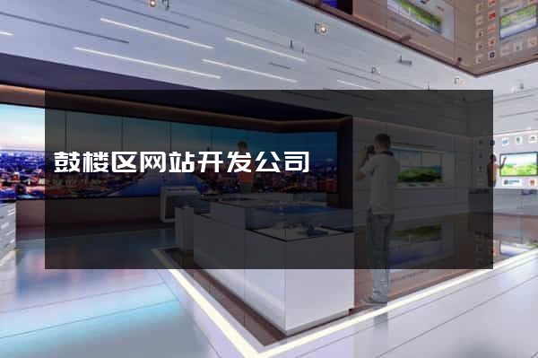 鼓楼区网站开发公司