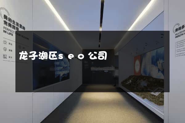 龙子湖区seo公司