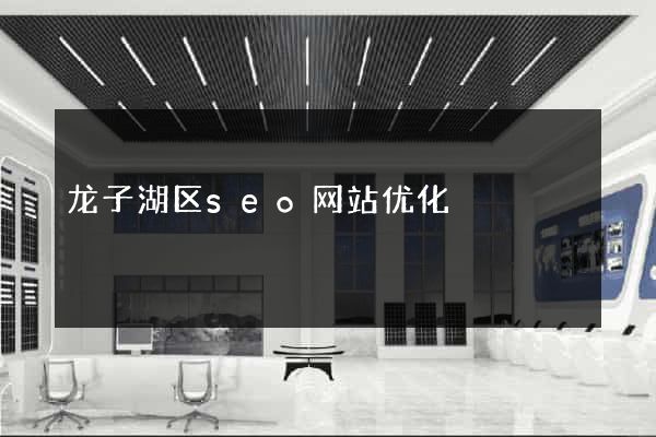 龙子湖区seo网站优化