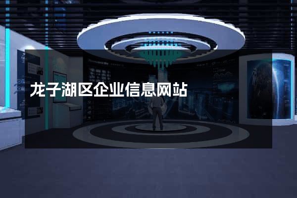 龙子湖区企业信息网站