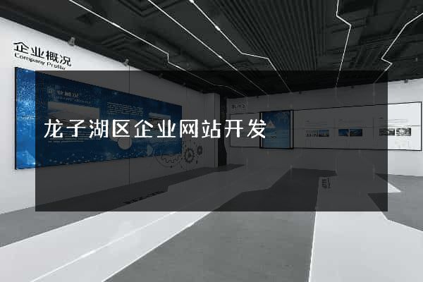 龙子湖区企业网站开发