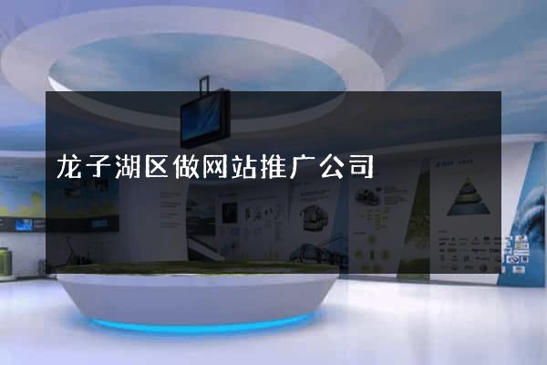 龙子湖区做网站推广公司