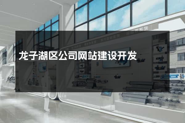 龙子湖区公司网站建设开发