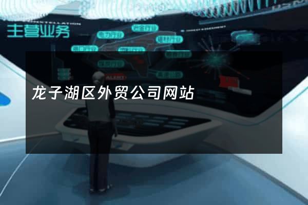 龙子湖区外贸公司网站
