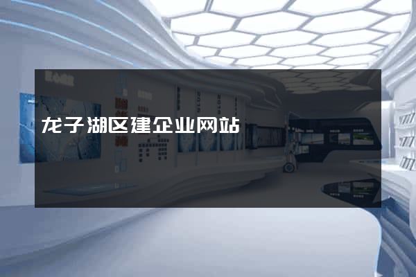 龙子湖区建企业网站