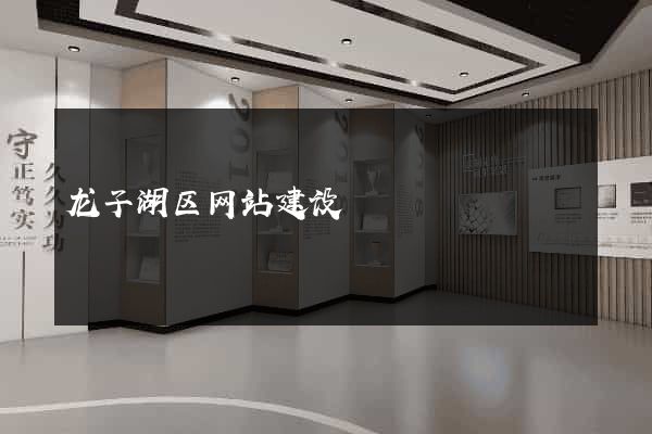 龙子湖区网站建设
