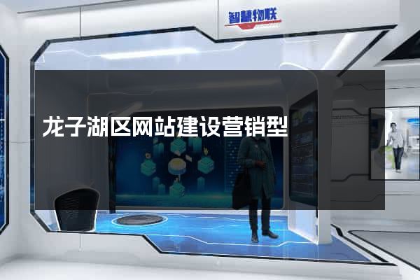 龙子湖区网站建设营销型