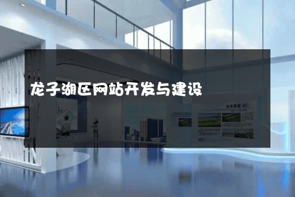 龙子湖区网站开发与建设