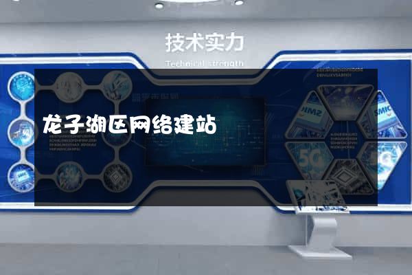 龙子湖区网络建站