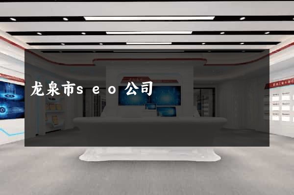 龙泉市seo公司