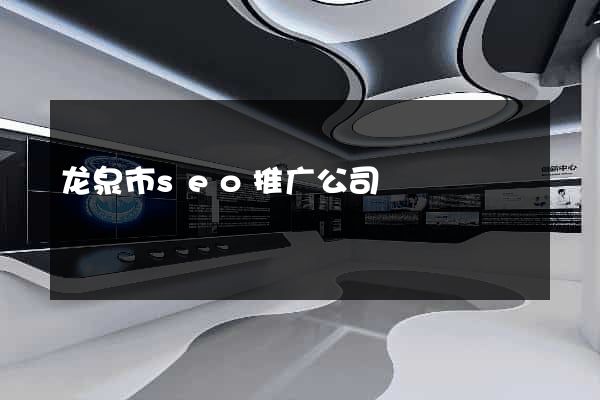 龙泉市seo推广公司