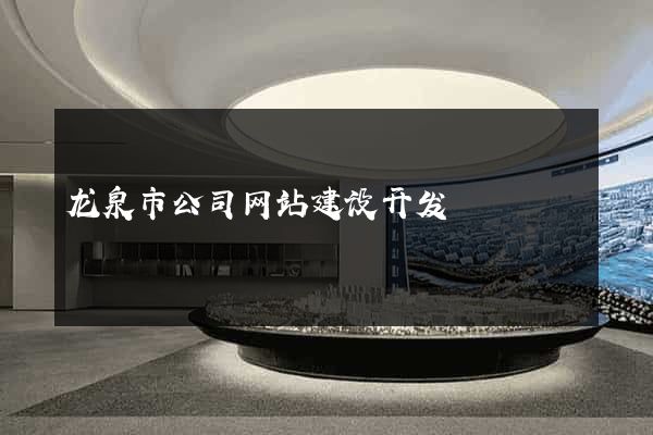 龙泉市公司网站建设开发