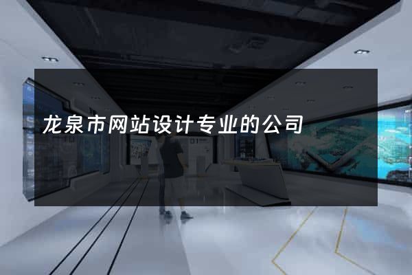 龙泉市网站设计专业的公司