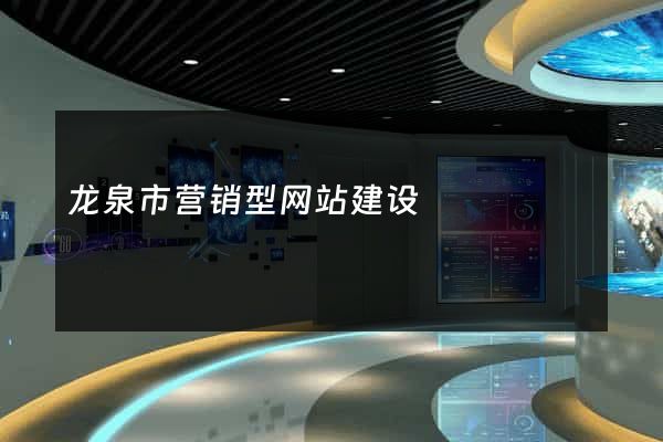 龙泉市营销型网站建设
