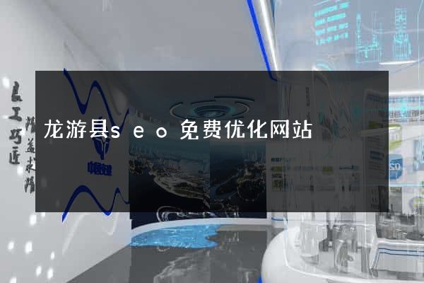 龙游县seo免费优化网站