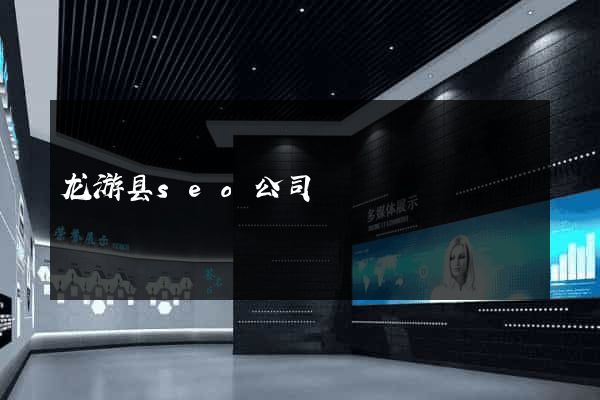 龙游县seo公司