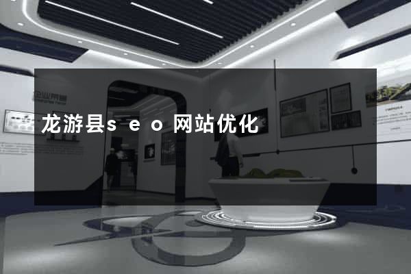 龙游县seo网站优化