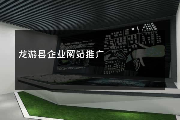 龙游县企业网站推广