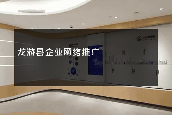 龙游县企业网络推广