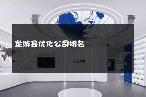 龙游县优化公司排名