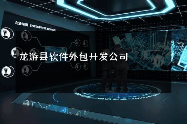 龙游县软件外包开发公司