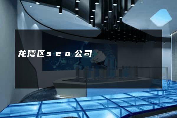 龙湾区seo公司