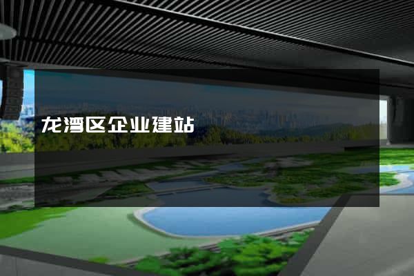 龙湾区企业建站