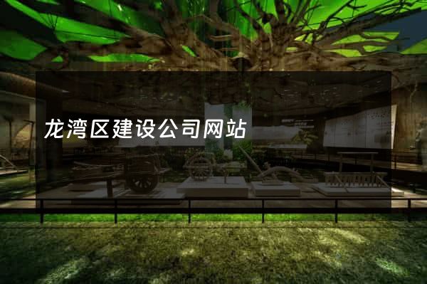 龙湾区建设公司网站