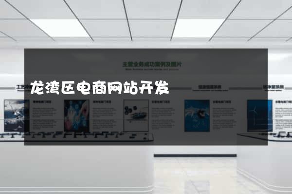 龙湾区电商网站开发