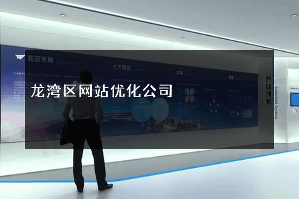 龙湾区网站优化公司