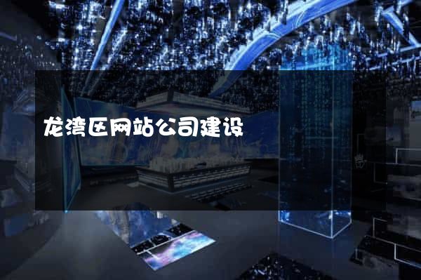 龙湾区网站公司建设