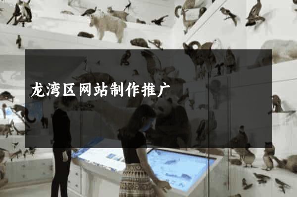 龙湾区网站制作推广