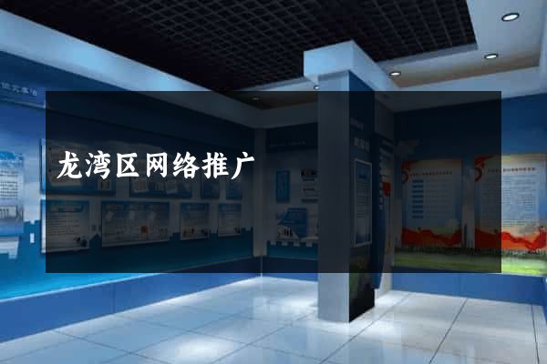 龙湾区网络推广