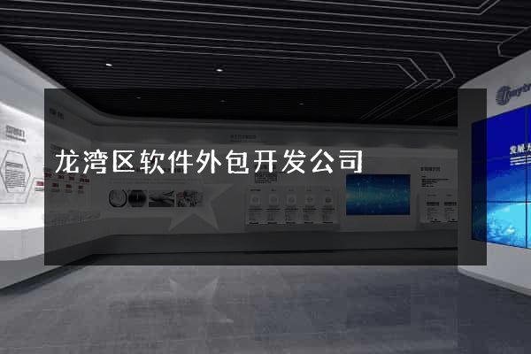 龙湾区软件外包开发公司