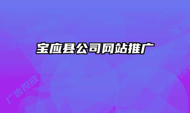 宝应县公司网站推广