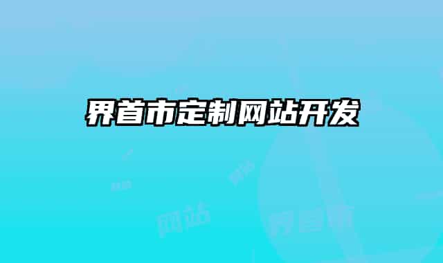 界首市定制网站开发