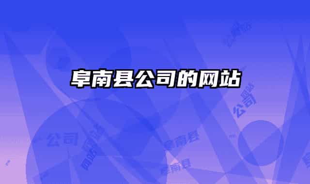 阜南县公司的网站