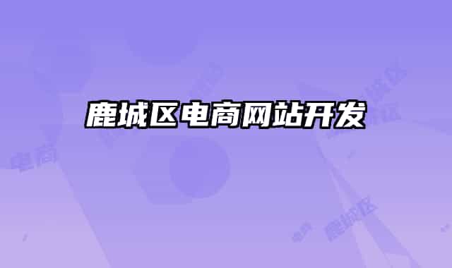 鹿城区电商网站开发