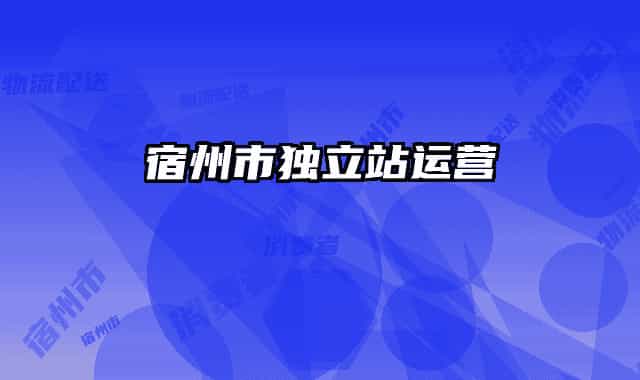 宿州市独立站运营