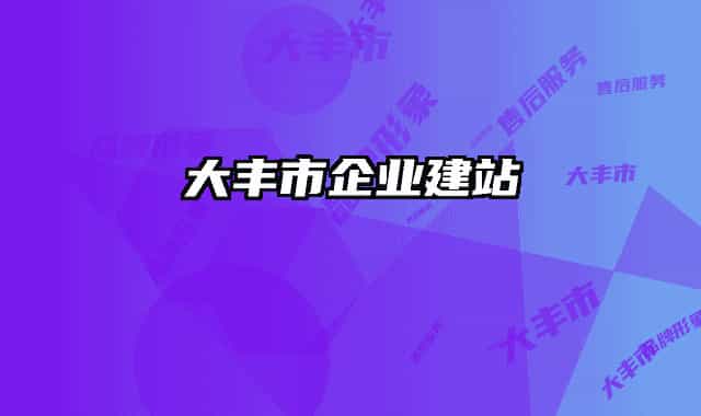 大丰市企业建站