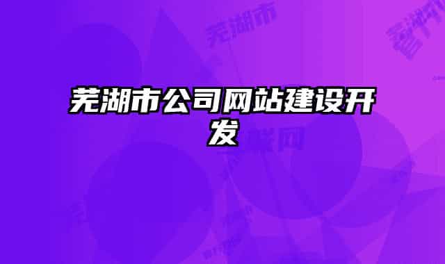 芜湖市公司网站建设开发