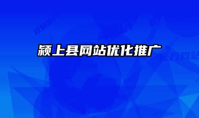 颍上县网站优化推广