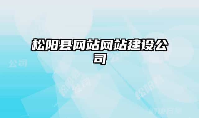 松阳县网站网站建设公司