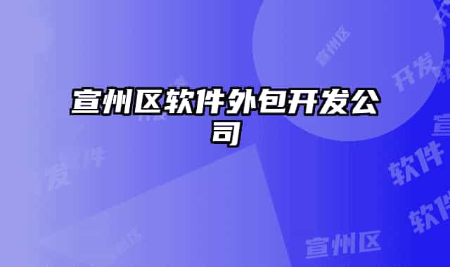 宣州区软件外包开发公司