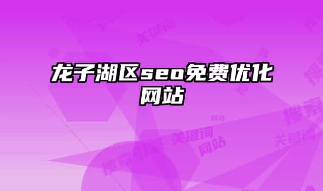 龙子湖区seo免费优化网站